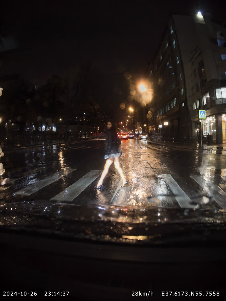 Dashcam Pull-Up preview